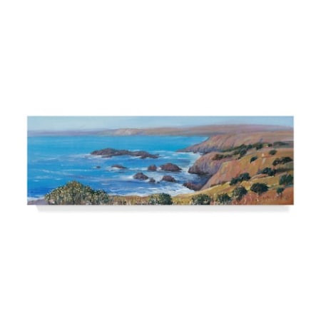 Tim Otoole 'Panoramic Ocean View I' Canvas Art,8x24
